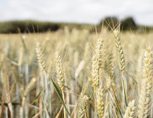 clash节点官网:win10桌面背景黑屏怎么回事 win10电脑桌面背景黑屏如何恢复